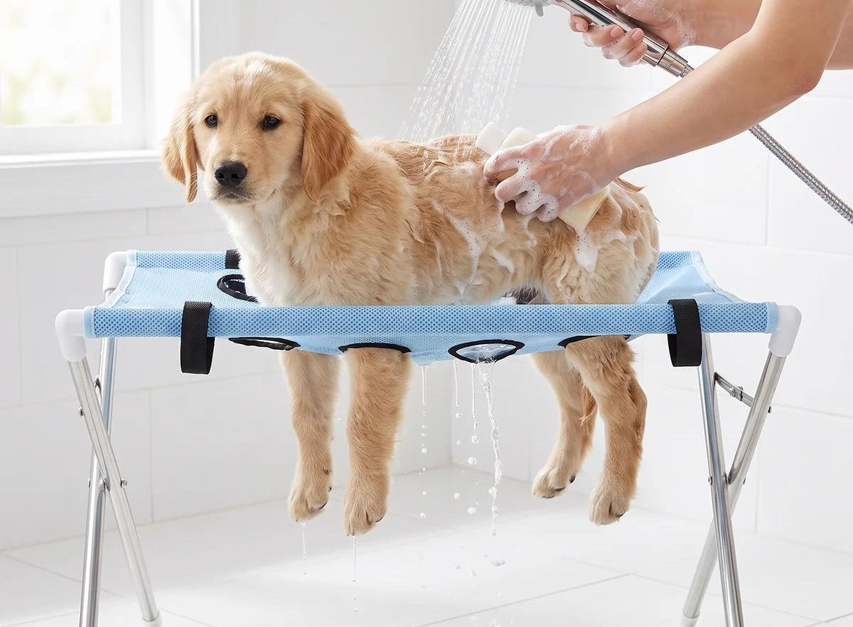 Professional grooming results at home.