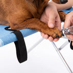 PawSpa™ Grooming Hammock