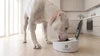 Suwora Node Sensor Pet Bowl